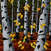 Autumn Grove