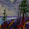 Sierra Storm