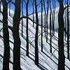 Sierra Storm